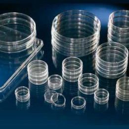 Чашка с поверхностью Nunclon 5мл #174888 Thermo Scientific Nunc